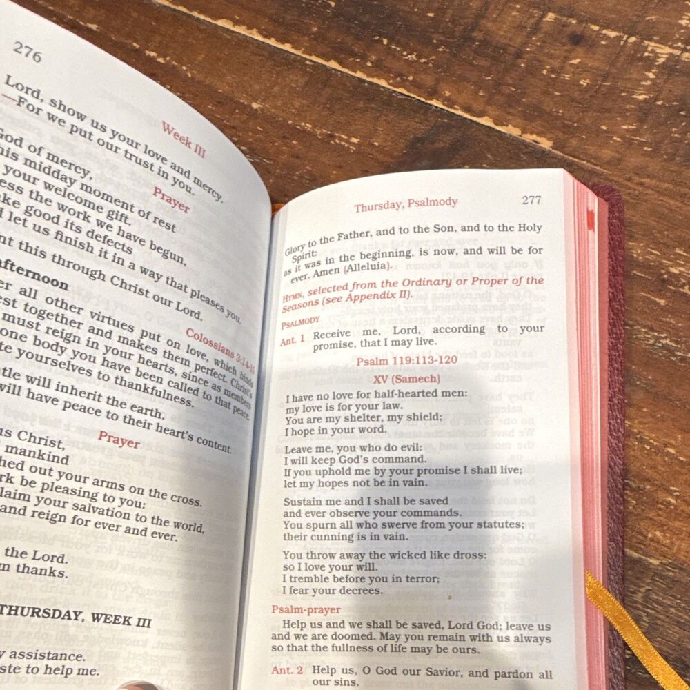 Daytime Prayer - Picture 3 of 3